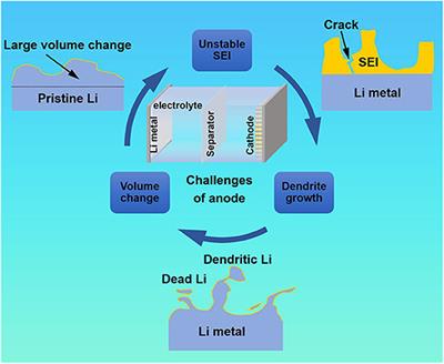 Advances of Carbon-Based Materials for Lithium Metal Anodes